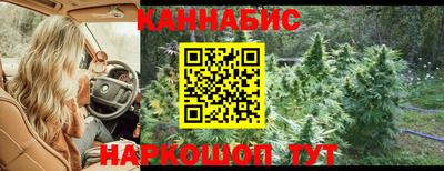 гашик Лесосибирск