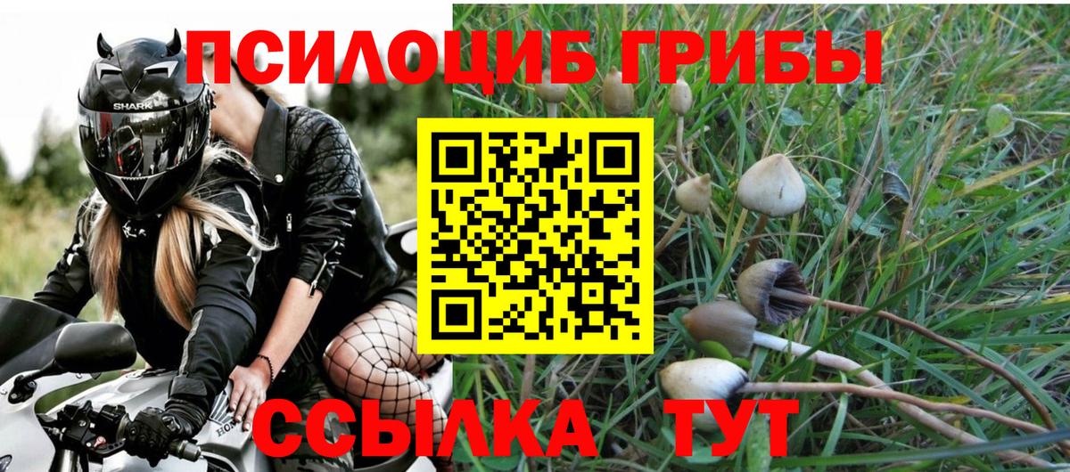 Псилоцибиновые грибы ЛСД  Вход с VPN  Еманжелинск 