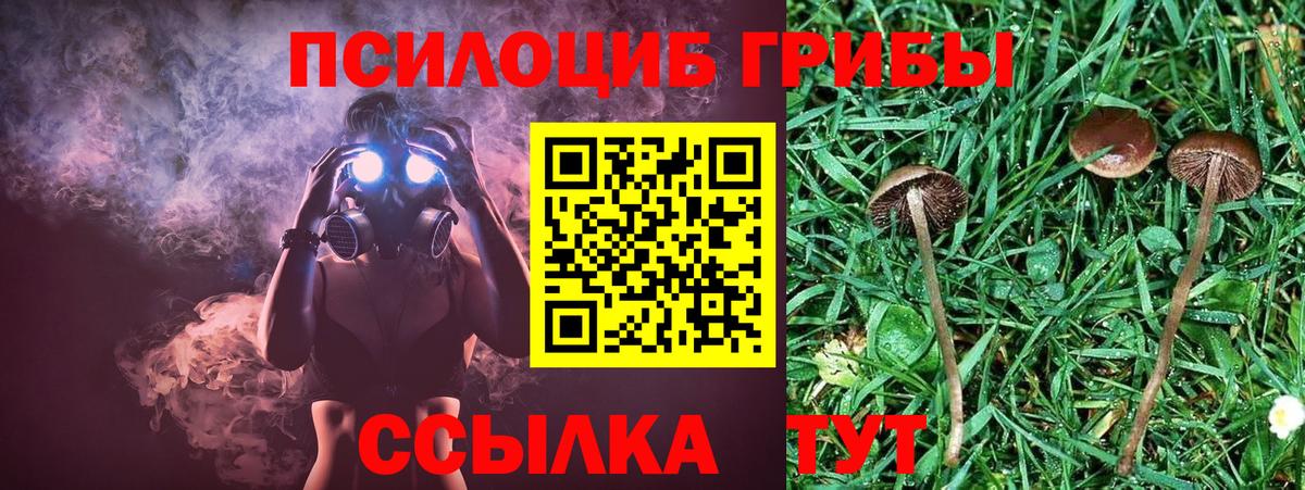 Галлюциногенные грибы ЛСД Еманжелинск